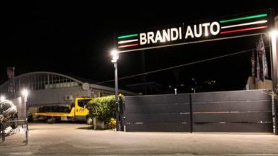 Brandi Auto 1